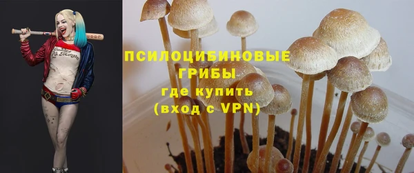 дживик Киренск