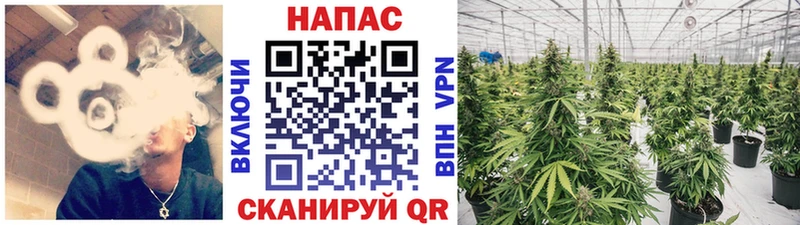 Купить  Давлеканово  Канабис тримм 